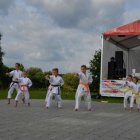 Piknik Rodzinny w Łężkowicach 