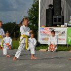 Piknik Rodzinny w Łężkowicach 