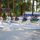 Piknik u Wójta 2017