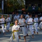 Piknik u Wójta 2017