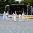 XX Dni Szarowa