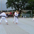 XX Dni Szarowa