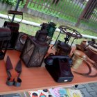 XX Dni Szarowa