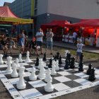 XXI Dni Szarowa 