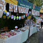 Piknik u Wójta 2019