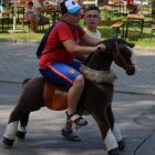 Piknik u Wójta 2019