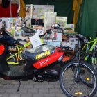 Dni Brzezia 2019