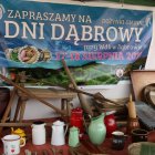 Dni Dąbrowy - Dożynki Gminne  