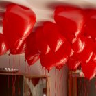 Spacer wielu serc dla Teosia fot. KepkaPhotography 