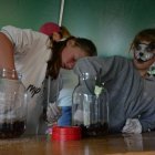 Warsztaty ekologiczne w ramach EkoPikniku