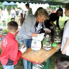 Warsztaty ekologiczne w ramach EkoPikniku