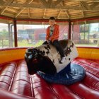 Zielona szkoła trzecioklasistów z Kłaja cz.1