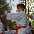 Piknik u Wójta 2023 cz.3