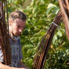 Wierzba bez granic - fot. Kępka Photography 