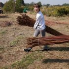 Wierzba bez granic - fot. Kępka Photography 