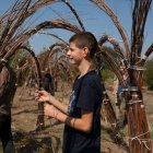 Wierzba bez granic - fot. Kępka Photography 