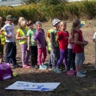 Wierzba bez granic - fot. Kępka Photography 