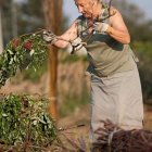 Wierzba bez granic - fot. Kępka Photography 