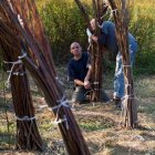 Wierzba bez granic - fot. Kępka Photography 