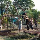 Wierzba bez granic - fot. Kępka Photography 