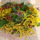 Wierzba bez granic - fot. Kępka Photography 