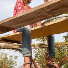 Wierzba bez granic - fot. Kępka Photography 