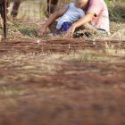 Wierzba bez granic - fot. Kępka Photography 