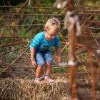 Wierzba bez granic - fot. Kępka Photography 