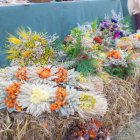 Wierzba bez granic - fot. Kępka Photography 