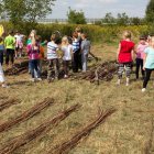 Wierzba bez granic - fot. Kępka Photography 