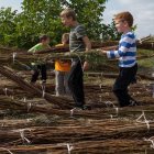 Wierzba bez granic - fot. Kępka Photography 