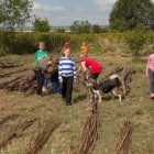 Wierzba bez granic - fot. Kępka Photography 
