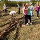 Wierzba bez granic - fot. Kępka Photography 