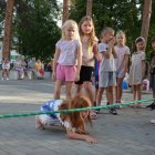 "Pożegnanie lata" na Placu Integracji i Kultury przy Gminnym Centrum Kultury w Kłaju -  cz. 2