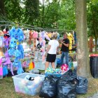 Piknik u Wójta 2024 - cz. 4