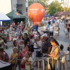 Piknik u Wójta 2024 - cz. 11