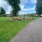 Piłkarskie wakacje z Hat-Trick Wolni Kłaj - cz. 3