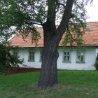 Zabytki