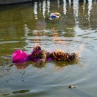 Pożegnanie zimy! - cz. 2