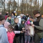 I kłajowska Noc Sów