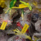 Piknik charytatywny - "Razem dla Reni"