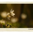 Natura 2000 w Gminie Kłaj