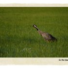 Natura 2000 w Gminie Kłaj