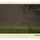 Natura 2000 w Gminie Kłaj