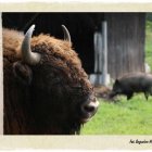 Natura 2000 w Gminie Kłaj