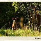 Natura 2000 w Gminie Kłaj