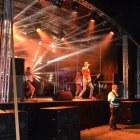 Dni Brzezia 2015