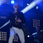 Dni Brzezia 2015