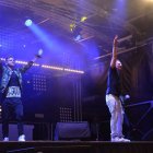 Dni Brzezia 2015