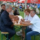 Dni Brzezia 2015